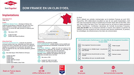 screenshot of Dow France At A Glance infographic